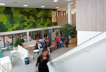 Hermann Wesselink College