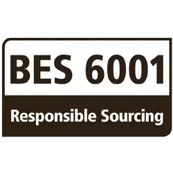 BES 6001