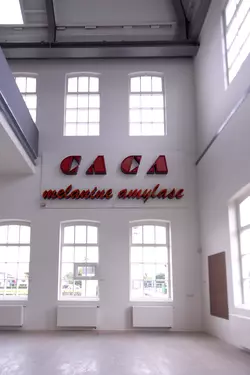 De cacaofabriek slide 3