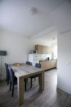 All Electric woningen