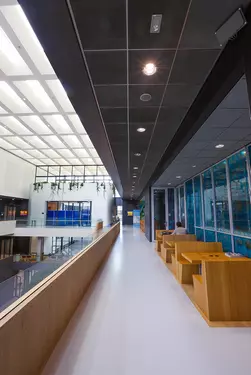 TU Delft