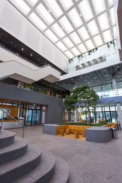 TU Delft