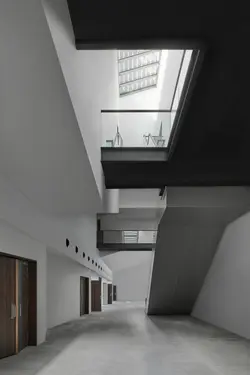 Foyer daklicht
